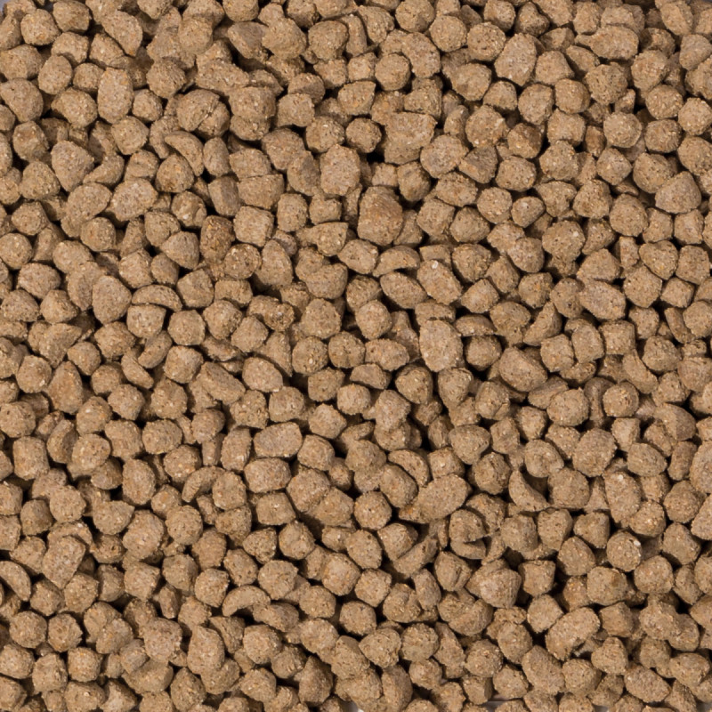 Beaphar Bar­ība trušiem - Beaphar Care+ Rabbit Junior, 250 gr