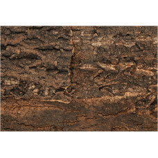 Repti Planet Reljefs terārijam : Repti Planet Background cork natural 29x27,3x2cm