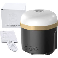 Ecoflow camping light (N).