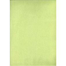 Flaneļa palags 160x200, seladons, 12 vienkrāsaini