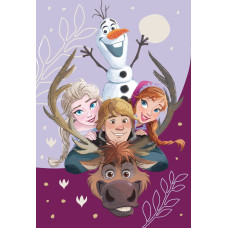 Mikrošķiedras sega 100x150 Frozen Family virši JF23