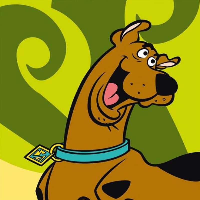 Burvju dvielis 30x30 Scooby Doo 2065