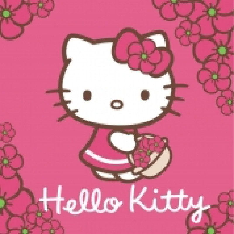 Bērnu dvielis 30x30 Hello Kitty rozā grozs HK01 0344