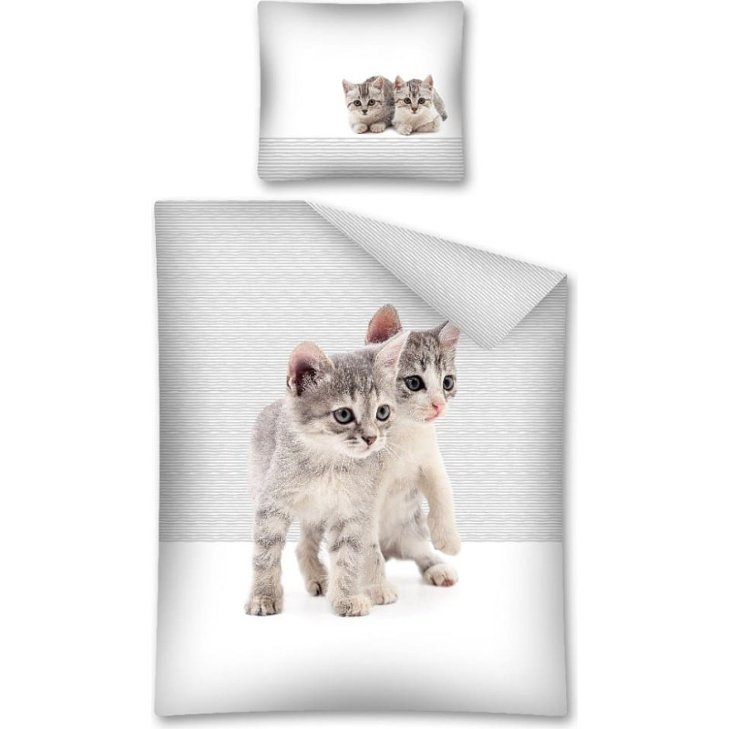 Jauniešu gultasveļa 140x200 Kaķi Kaķis Divi jauki kaķēni 2673