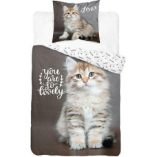 Kokvilnas gultasveļa 140x200 sweet kaķēns kaķis 3630 Pelēks balts 0203 kaķi kaķēni kaķu jaunība Holland kolekcija