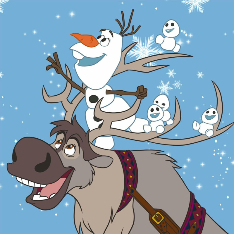 Bērnu dvielis 30x30 Frozen Cotton Frozen bērnudārzam 086