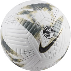 Nike Football Premier League Academy Ball FB2985-106