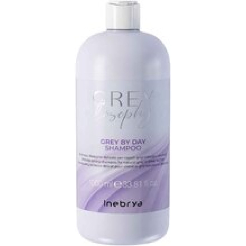 Inebrya Grey By Day Shampoo