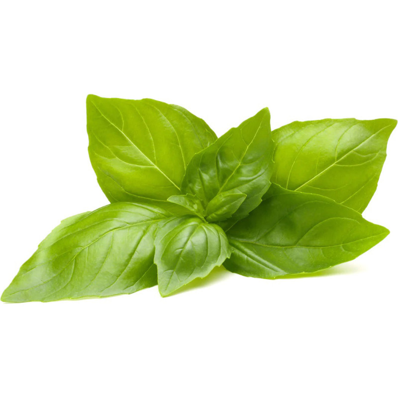 Click & Grow Smart Garden refill Lemon Basil 3-pack