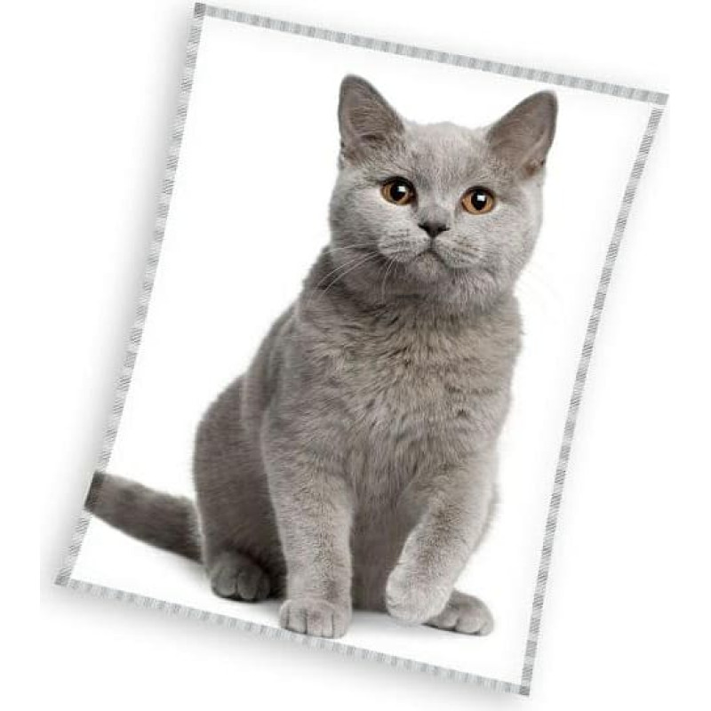 Mikrošķiedras gultas pārklājs sega 150x200 Kaķu balts pelēks 4050 C23