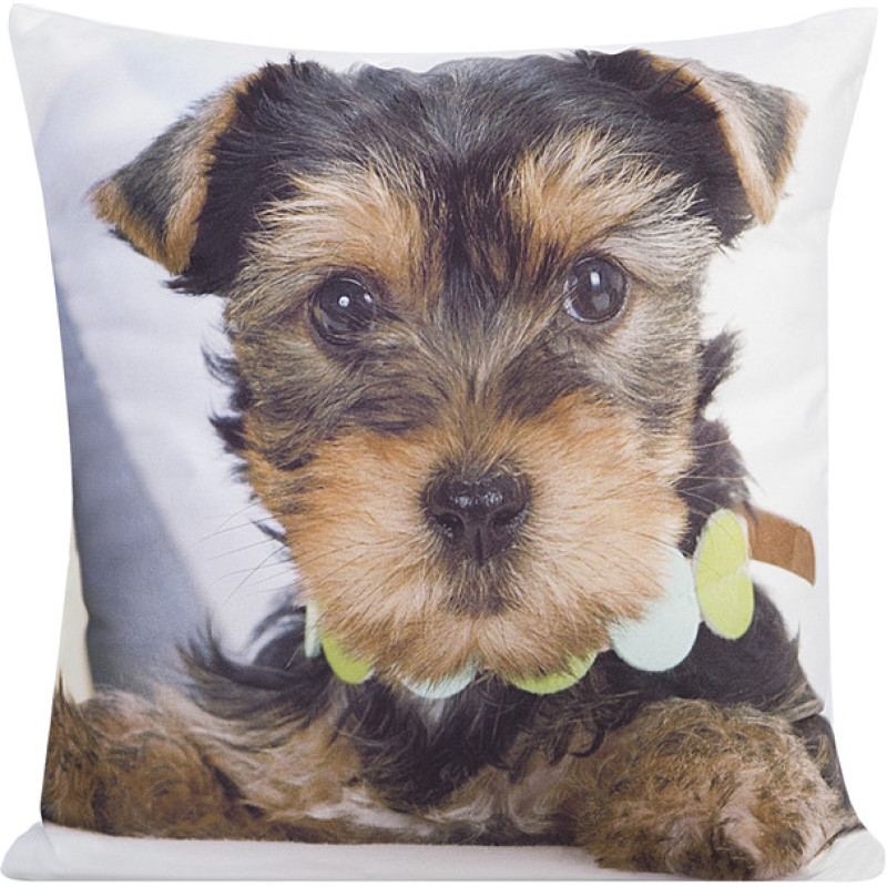 Dekoratīvā spilvendrāna 40x40 Animal 35 Yorkie suns