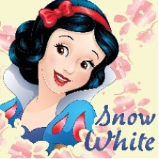 Burvju dvielis 30x30 Princess 080 Snow White Princess 3624