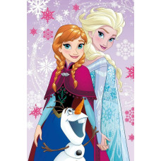 Flīsa sega 100x150 Frozen Frozen Anna un Elsa viršu 1010 bērnu pleds