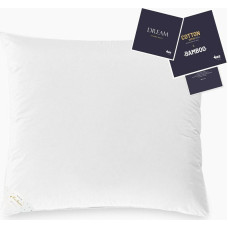 Dūnu spilvens 90% 50x70 Dream 500g balts