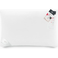 Dūnu spilvens 60% 40x60 Zosu dūnas 350g balts