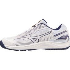 Mizuno Cyclone Speed 4 M V1GA238043 volleyball shoes