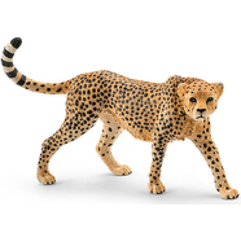 Schleich Wild Life Cheetah (14746)