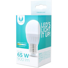 Forever Light LED bulb E27 G45 10W 230V 3000K 900lm ceramic Forever Light