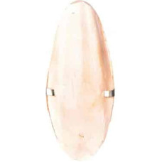 Trixie Gardums putniem: Cuttle Fish Bone with Holder 12cm