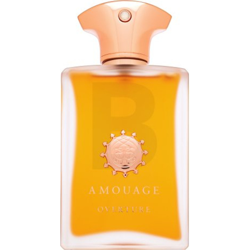 Amouage Overture parfimērijas ūdens vīriešiem 100 ml