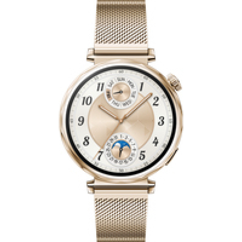 Huawei WATCH GT 5 41mm  Smart watch  GPS (satellite)  AMOLED  1.32 inches  Gold