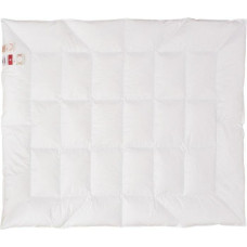 Dūnu sega 100% 135x200 Izturīgs visu gadu 640g balta