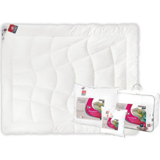 Antialerģiska sega 200x200 Iztur visu gadu 1500g balta