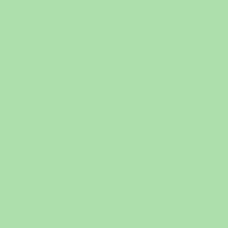 Kokvilnas palags 160x200 11 celadon vienkrāsains