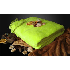 Mikrošķiedras sega 155x205 Pistācijas