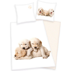 Kokvilnas gultas veļa 140x200 Sweet Dogs 8766 Labradors spilvendrāna 70x90
