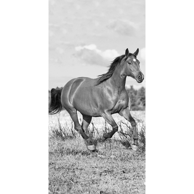 Pludmales dvielis 70x140 zirgs galloping 15 6866 melns izjādes
