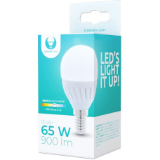 Forever Light LED bulb E14 G45 10W 230V 6000K 900lm ceramic Forever Light