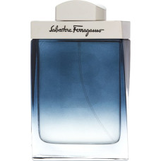 Salvatore Ferragamo Subtil Pour Homme Tualetes ūdens vīriešiem 100 ml