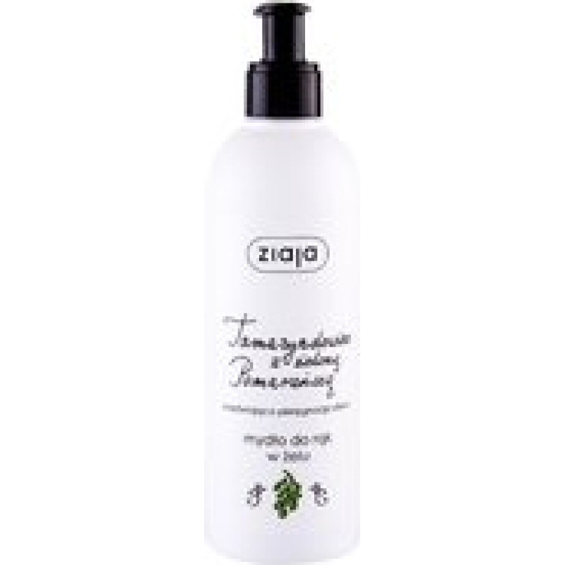 Ziaja Hand Wash Tamarind & Green Orange - Liquid soap