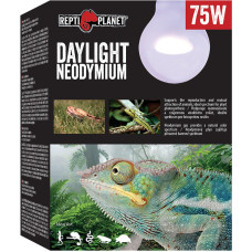 Repti Planet Spuldze terārija lampai : Repti Planet Bulb Daylight Neodymium 75W