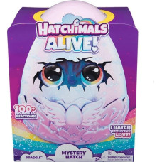 Spin Master - Hatchimals Alive Mystery Hatch Draggle A+