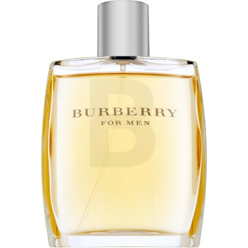 Burberry For Men Tualetes ūdens vīriešiem 100 ml