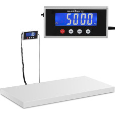 Steinberg Systems Noliktavas platformas svari 1000 x 500 mm LCD 500 kg / 100 g