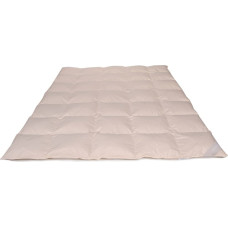 Dūnu sega 70% 135x200 Standarta 900g krēms