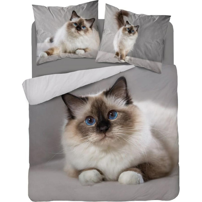 Kokvilnas gultas veļa 160x200 kaķis 3732 A 2 spilvendrānas 70x80 Holland Natura 69