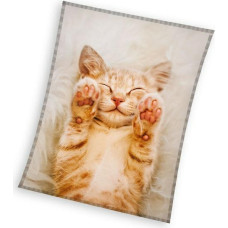 Mikrošķiedras sega 130x170 Beige kitty 4067 C23