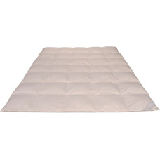 Dūnu sega 90% 155x200 Exclusive 600g atmosfēras krēms