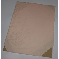 Traipu izturīgas galdauta salvetes 30x30, komplektā 6, vienkārša aprikoze, dažādi raksti, zema cena