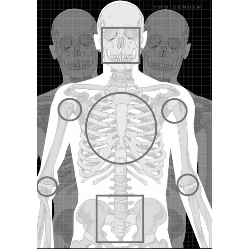 Tactical Weapon System - Silueta šaušanas mērķis TWS CERBER SKELETO
