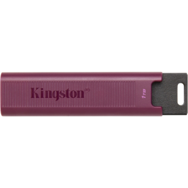 Zibatmiņa Kingston DataTraveler MAX 1TB