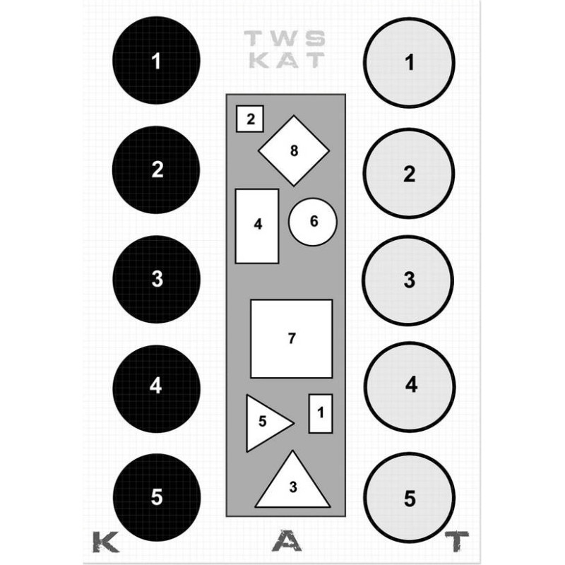 Tactical Weapon System - Šaušanas mērķī TWS KAT