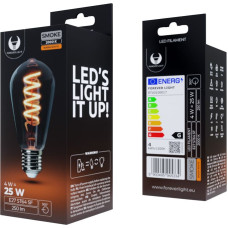 Forever Light LED Bulb Filament E27 ST64 4W 230V 2000K 250lm SF smoked Forever Light