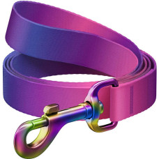 Waudog gradient nylon dog leash, 20mm wide, 122cm long, purple