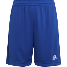 Adidas ENTRADA 22 Īsi Y šorti HG6291 / zils / 176 cm