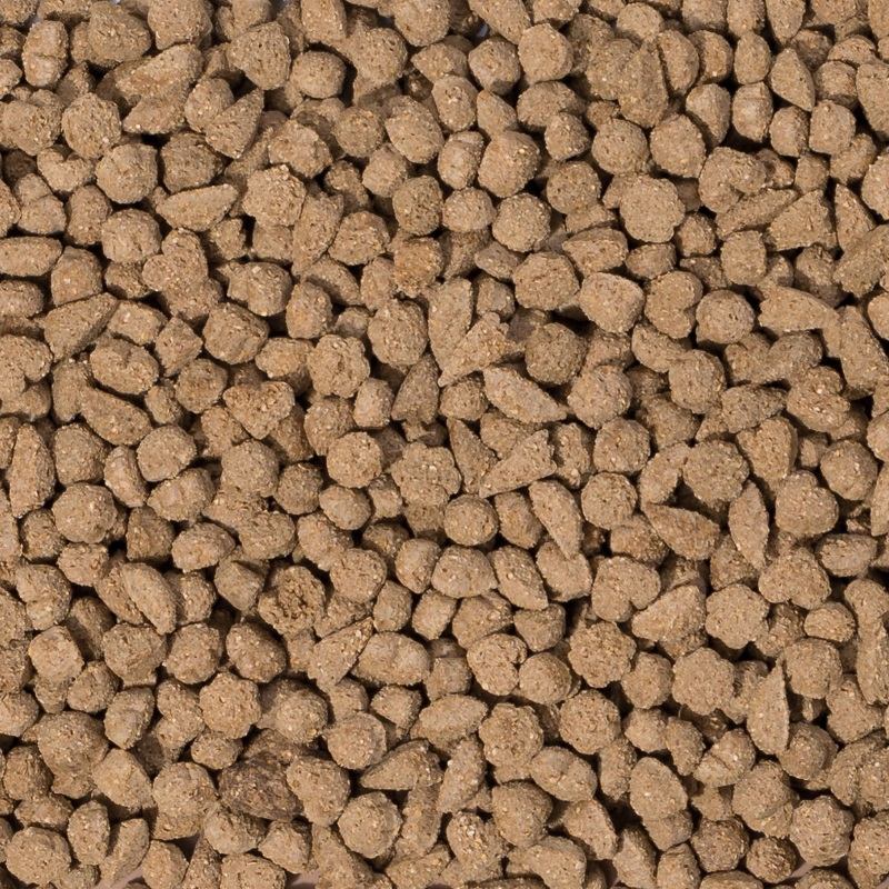 Beaphar Barība trušiem - Beaphar Care+ Rabbit, 250 gr